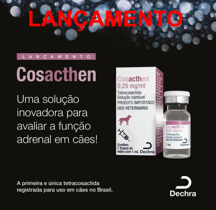 COSACTHEN copiar.jpg